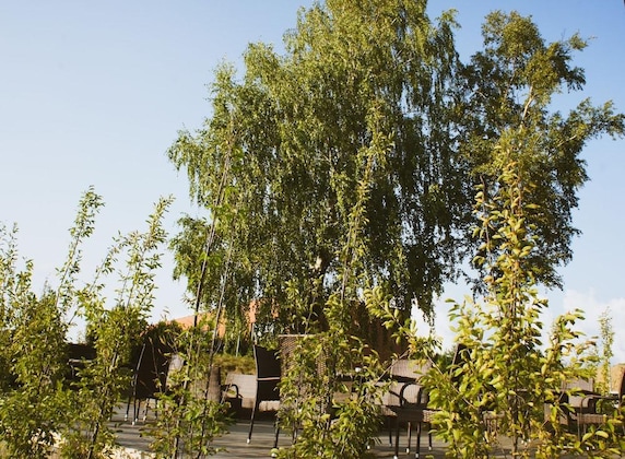 Gallery - Zaliasis Slenis - Self Check-In Hotel