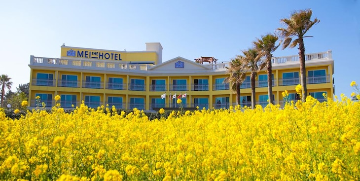 Gallery - Ava Hotel Jeju Hamdeok
