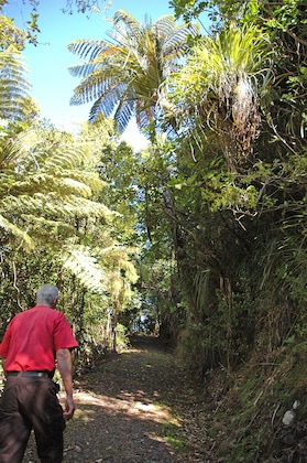 Gallery - Waitakere Resort & Spa