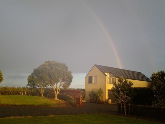 Gallery - Takatu Lodge And Vineyard
