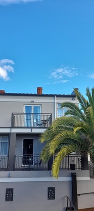 Gallery - Dunedin Palms Motel