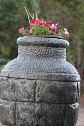Gallery - French Lodge International