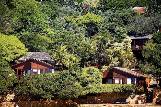 Gallery - Under Milkwood Resort