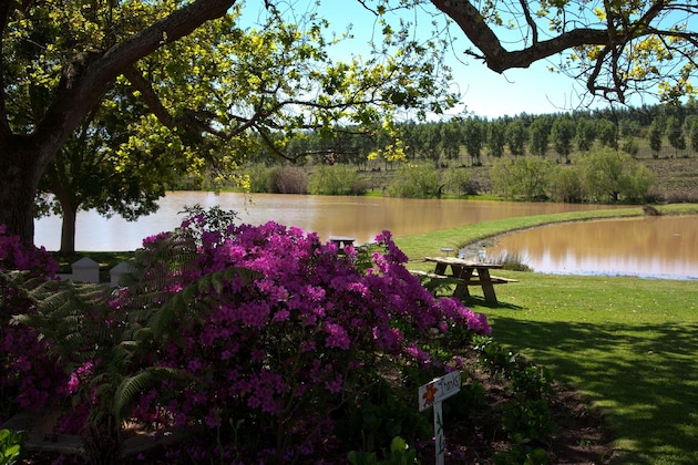 Gallery - The Lodge L'avenir