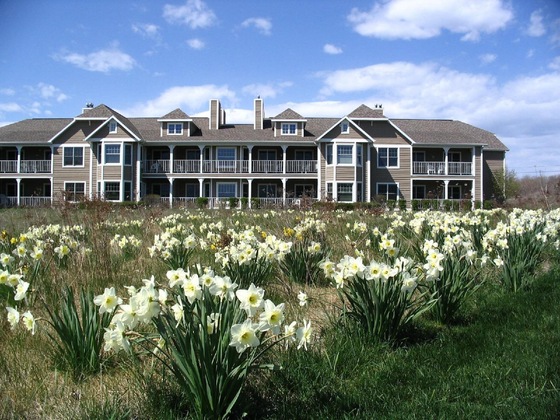 Gallery - Newport Resort