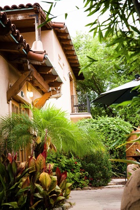 Gallery - Blue Iguana Inn
