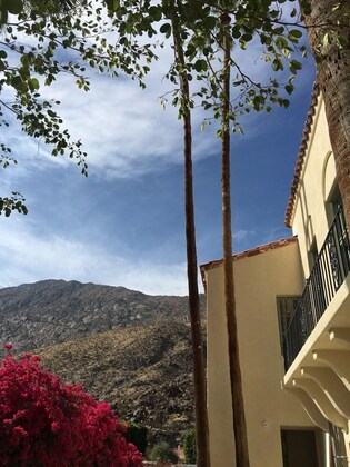 Gallery - The Willows Historic Palm Springs Inn