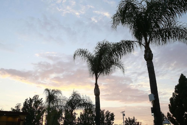 Gallery - Sky Palm Motel