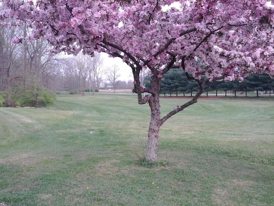 Gallery - Brook Pointe Inn