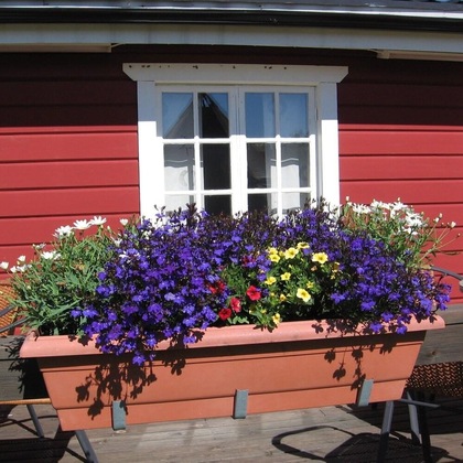 Gallery - Lappeasuando Lodge