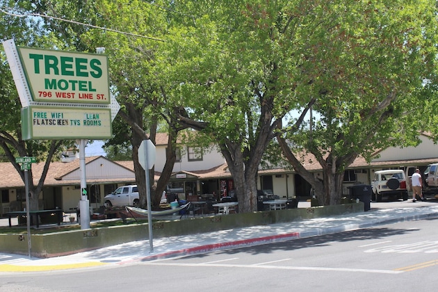 Gallery - Trees Motel