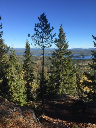 Gallery - Värdshuset Lugnet