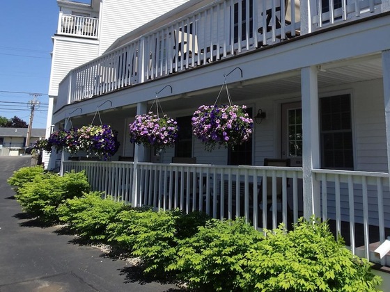 Gallery - Pink Blossom Family Resort