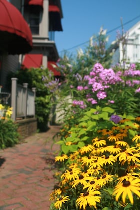 Gallery - Prince Albert Provincetown