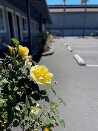 Gallery - Monterey Fireplace Inn