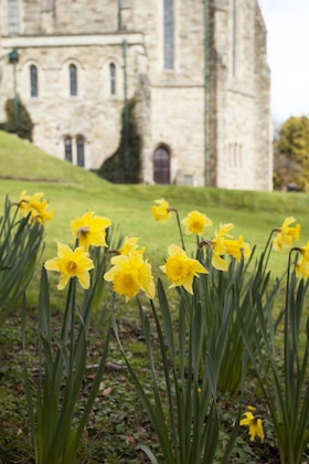 Gallery - The Alverton