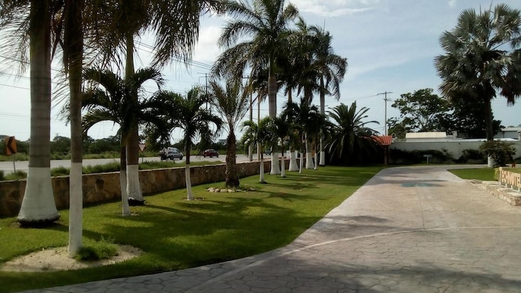 Gallery - Tecnohotel Mérida Norte