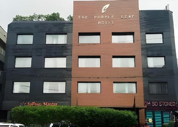 Gallery - The Purple Leaf Hotels