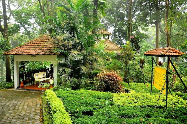 Gallery - The Tall Trees Munnar