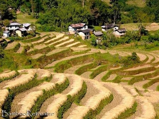 Gallery - Bamboo Retreat