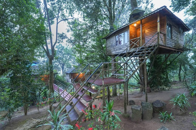 Gallery - Nature Zone Jungle Resort