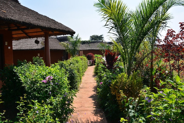 Gallery - Red Earth Kabini