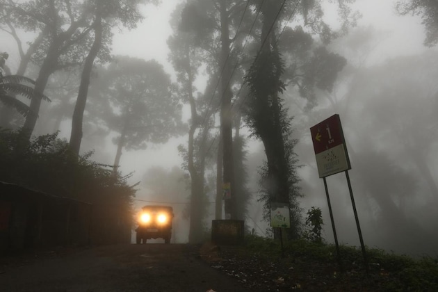 Gallery - Spice Tree Munnar