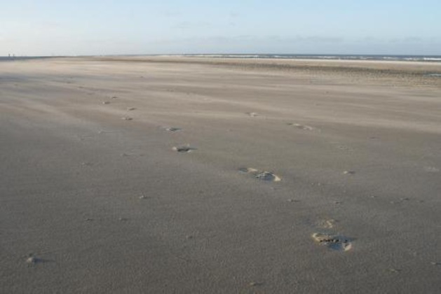 Gallery - De Herbergh Van Flielant