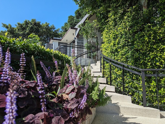 Gallery - Villa Moonshadow