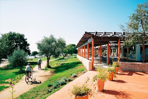Gallery - Camping Polari