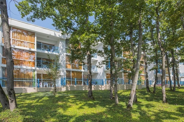 Gallery - Hotel Forest Beach