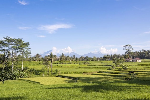 Gallery - The Lokha Ubud Resort Villas &  Spa