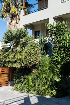 Gallery - Casa Maria
