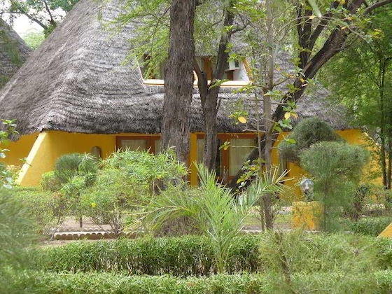 Gallery - Pelican du Saloum