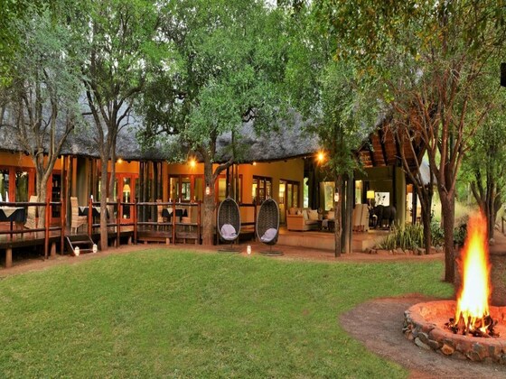 Gallery - Black Rhino Game Lodge