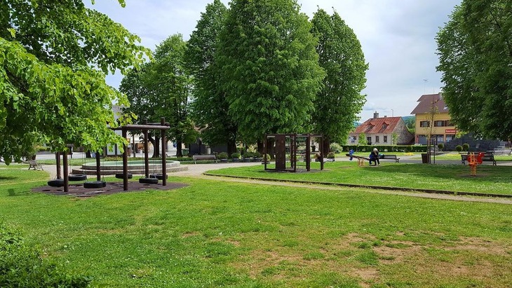 Gallery - Pansion Park
