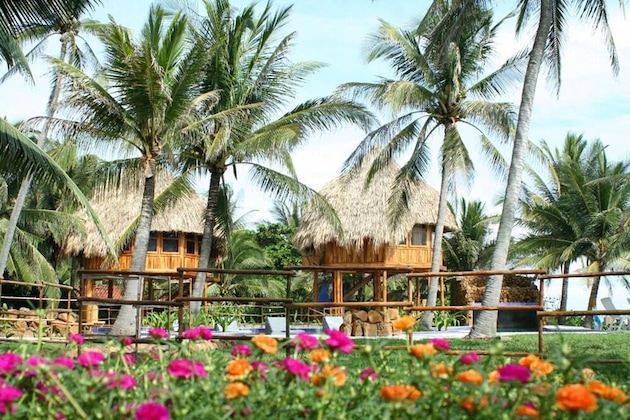 Gallery - Tortuga Village