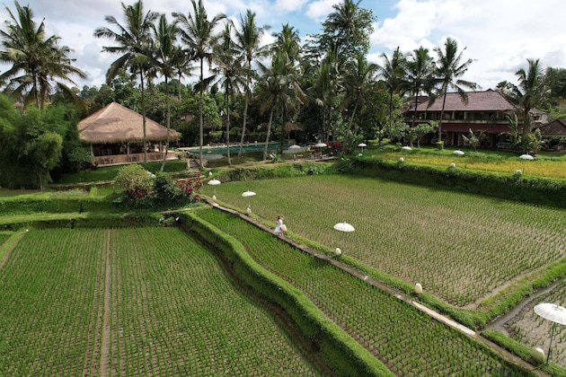 Gallery - MATHIS Retreat Ubud