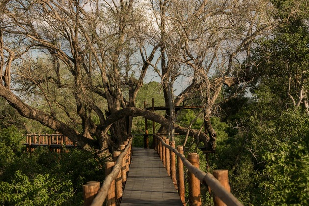 Gallery - Mopane Bush Lodge