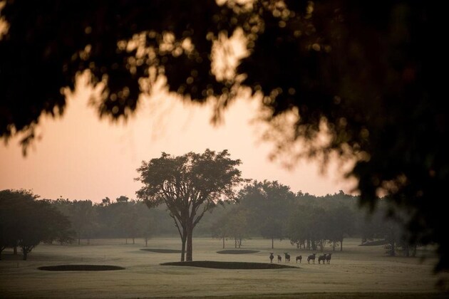 Gallery - Nkonyeni Lodge & Golf Estate