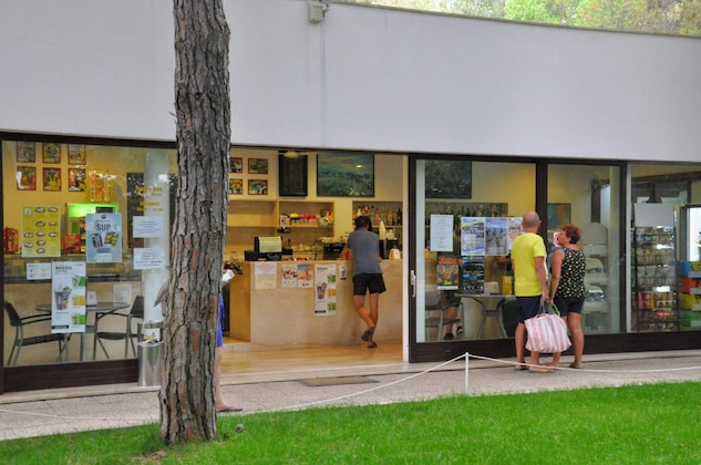 Gallery - Spinnaker