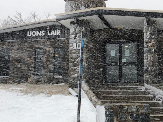 Gallery - The Lions Lair