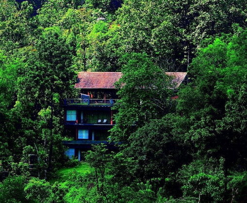 Gallery - Rainforest Boutique Resort