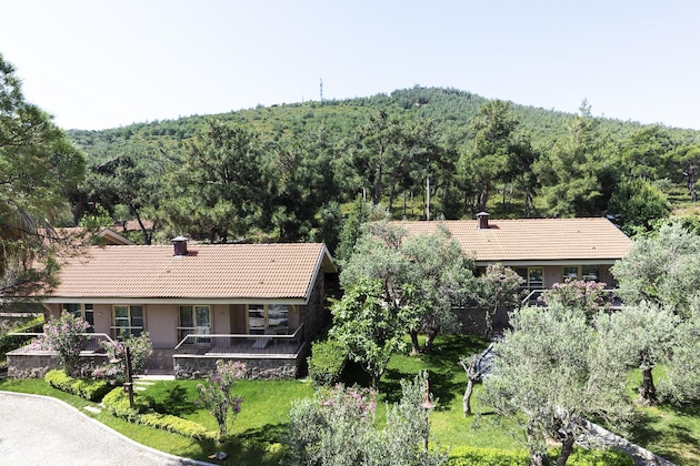 Gallery - D-Resort Ayvalık