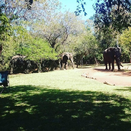 Gallery - The Royal Sichango Village