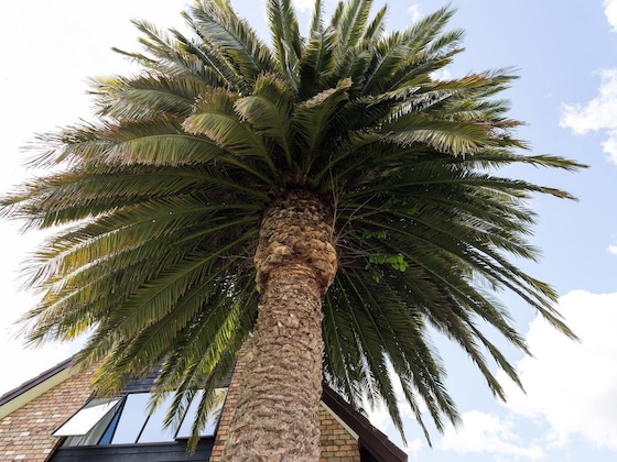 Gallery - Arista Of Rotorua