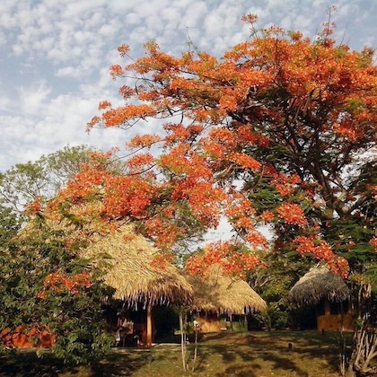 Gallery - Hotel Playa Negra