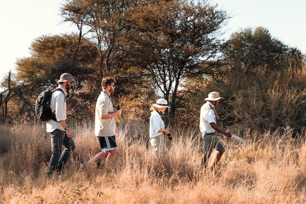 Gallery - Gabus Safari Lodge