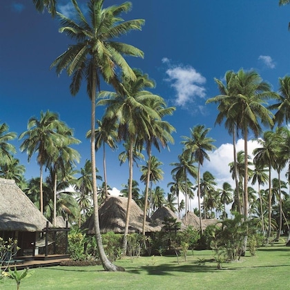 Gallery - Jean-Michel Cousteau Resort Fiji