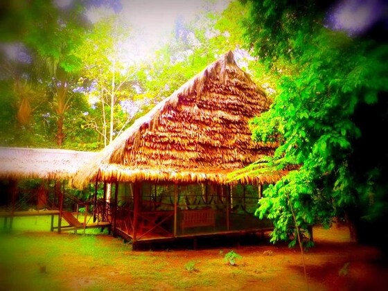 Gallery - Amazon Eco Tours & Lodge